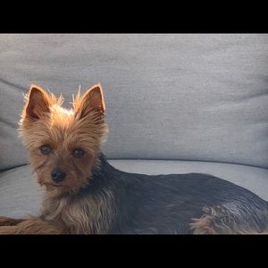 ❤️Peek in my photo book here❤️ 🐝 sure to ❤️ this